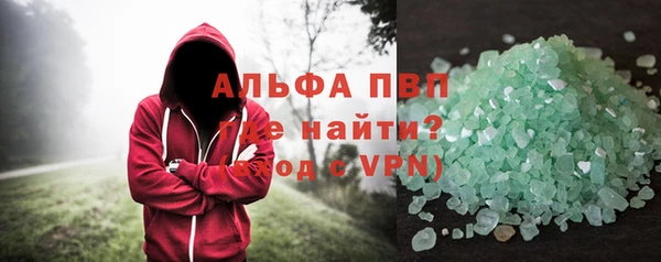 крисы Гусев