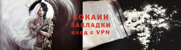 крисы Гусев