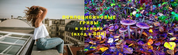 крисы Гусев