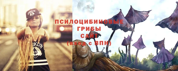 крисы Гусев