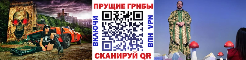 OMG ссылки Каневская Псилоцибиновые грибы GOLDEN TEACHER